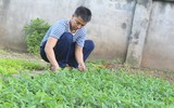 Mâm ngũ quả đặc biệt của lính Trường Sa trong ngày Tết